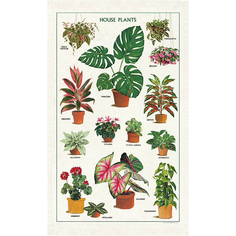 House Plants - Cavallini Print Tea Towel