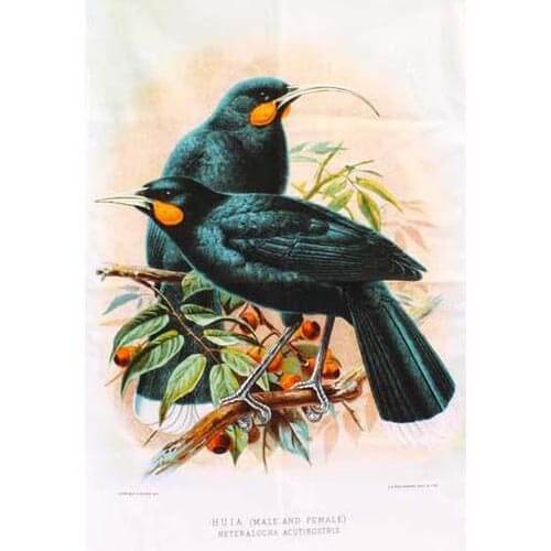 Huia Prestige Tea Towel - The Red Dog Gift Shop NZ