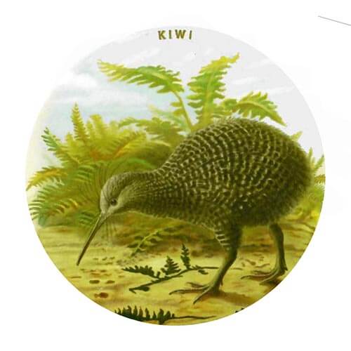 Kiwi Prestige Ceramic Coaster - The Red Dog Gift Shop NZ