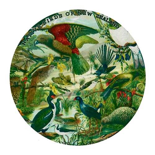 Native Birds of NZ Prestige Ceramic Coaster - The Red Dog Gift Shop NZ