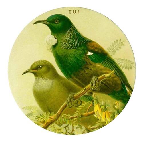 Tui Prestige Ceramic Coaster - The Red Dog Gift Shop NZ